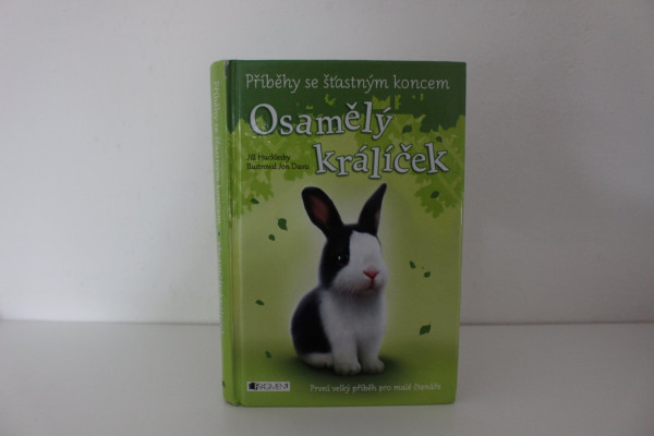 Osamělý králíček - Jill Hucklesby / Příběhy se šťastným koncem (1)
