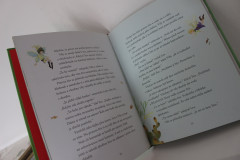 Vílí pohádky na dobrou noc - Karen Wallace (3)