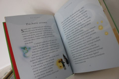 Vílí pohádky na dobrou noc - Karen Wallace (4)