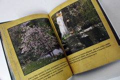 Letopisy Narnie. Lev, čarodějnice a skříň: filmové dobrodružství - Kate Egan (1)