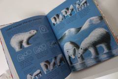 Co budu dnes malovat nebo kreslit  - Anna Milbourne (2)