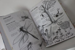Co budu dnes malovat nebo kreslit  - Anna Milbourne (3)