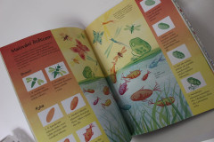 Co budu dnes malovat nebo kreslit  - Anna Milbourne (4)