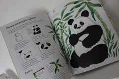 Co budu dnes malovat nebo kreslit  - Anna Milbourne (5)