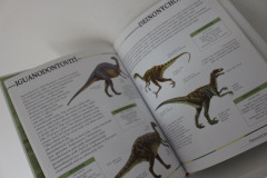 Dinosauři - moje první kniha (3)