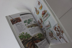 Mladý pozorovatel u moře - Christian Weiss (2)