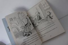 Dorka Fantasmagorka - Abby Hanlon (2)