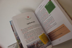 České dějiny - nejen pro školáky (2)