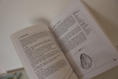 Od báboviček k magnetům: Přírodovědné činnosti s malými dětmi - Elizabeth A. Sherwoodová (2)