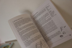 Od báboviček k magnetům: Přírodovědné činnosti s malými dětmi - Elizabeth A. Sherwoodová (3)