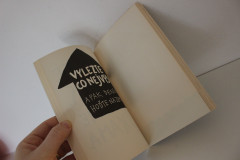 Destrukční deník - Keri Smithová (2)