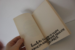 Destrukční deník - Keri Smithová (3)