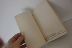 Destrukční deník - Keri Smithová (4)