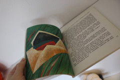 Červení sloni a zelená oblaka - Jürgen Leskien (3)