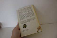 Emil a detektivové  - Erich Kästner (2)