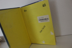 7. příručka mladých svišťů - Walt Disney (2)