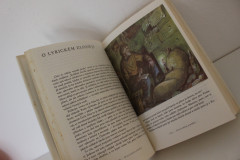 Povídky z jedné kapsy - Povídky z druhé kapsy - Karel Čapek (2)