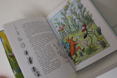 Knížka Ferdy Mravence - Ondřej Sekora (2024) (4)