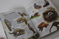 Obrazová encyklopedie Zvířata - Rupert Matthews (2)