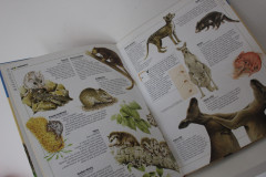 Obrazová encyklopedie Zvířata - Rupert Matthews (4)
