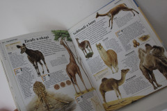 Obrazová encyklopedie Zvířata - Rupert Matthews (5)