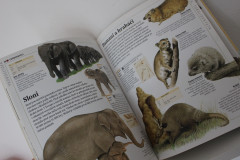 Obrazová encyklopedie Zvířata - Rupert Matthews (6)