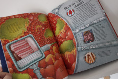 Martinova cesta lidským tělem - Jack Challoner (4)