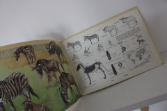 Já něco vím: Pozorování zvířat v zoo - Jiří Felix (2)