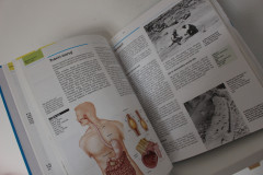 Oxford Školní encyklopedie -díl druhý (5)