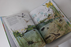 Průvodce naší přírodou (3)