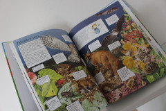 Průvodce naší přírodou (4)