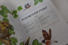Průvodce naší přírodou (6)