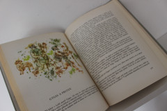 Staré řecké báje a pověsti - Eduard Petiška (3)