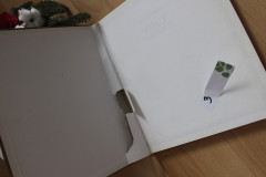 Walt Disney - Veselé Vánoce 3 (3)